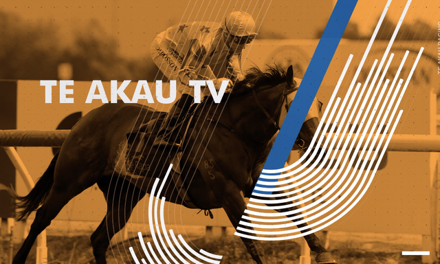 Te Akau TV - Spring Is In The Air
