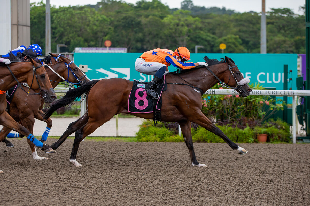 8 Win Saturday - A Singapore Double