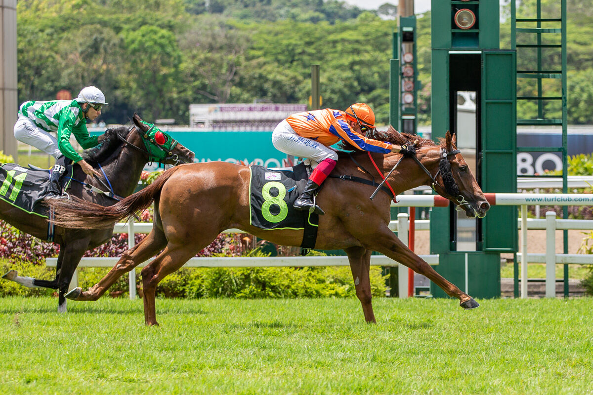 Te Akau Singapore Sunday Preview