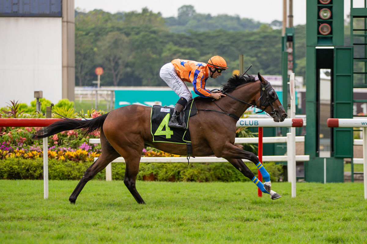 Te Akau Singapore Saturday Preview