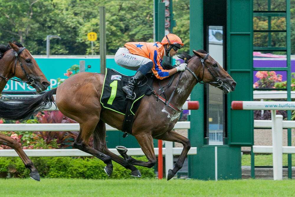 Charminton - Charming 2nd Start Winner