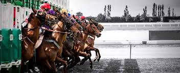 The Informant's View on Te Akau's Success