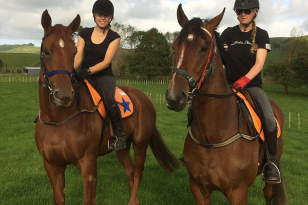 Te Akau Thursday Update
