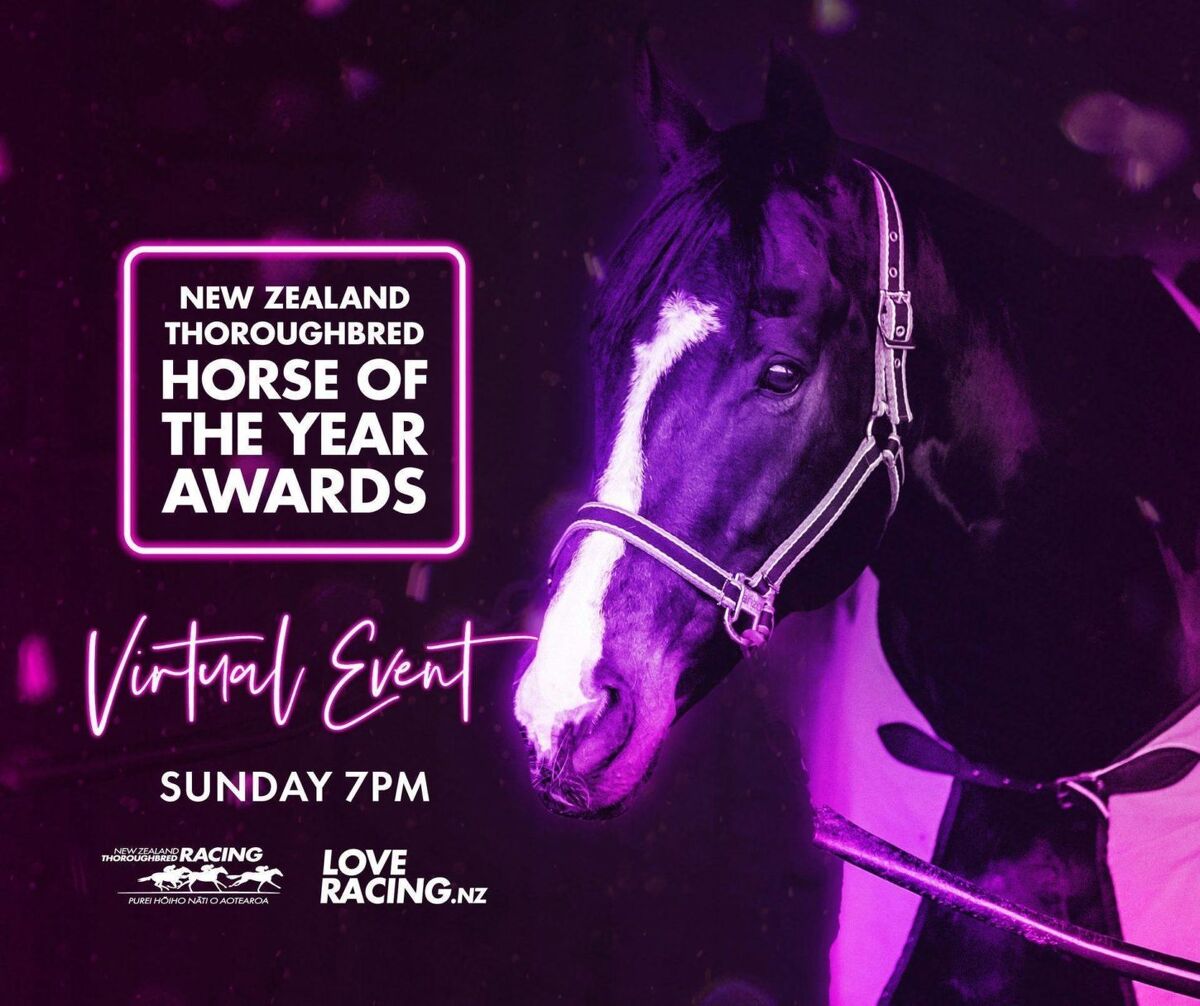 NZTR HORSE OF THE YEAR AWARDS LIVE NOW