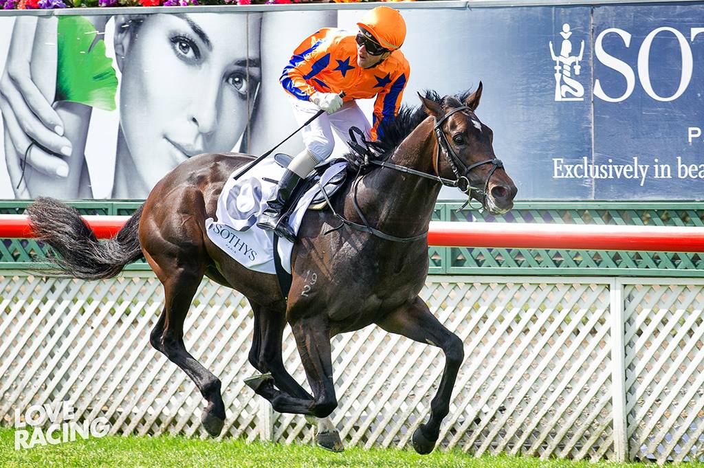 Xtravagant Named Champion 3YO
