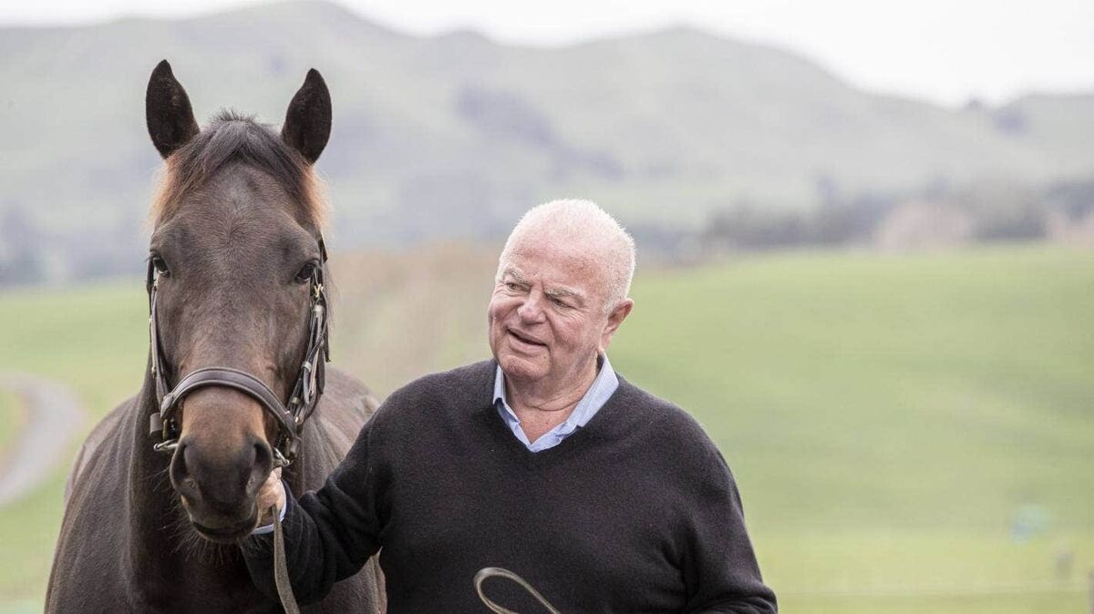 David Ellis: An unrelenting quest for success