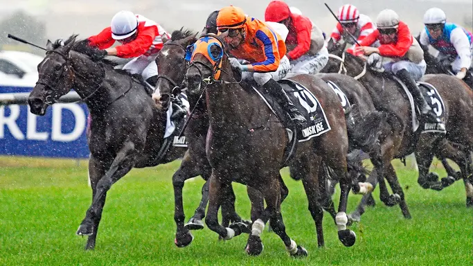 Te Akau TV - Group 1 Action Awaits
