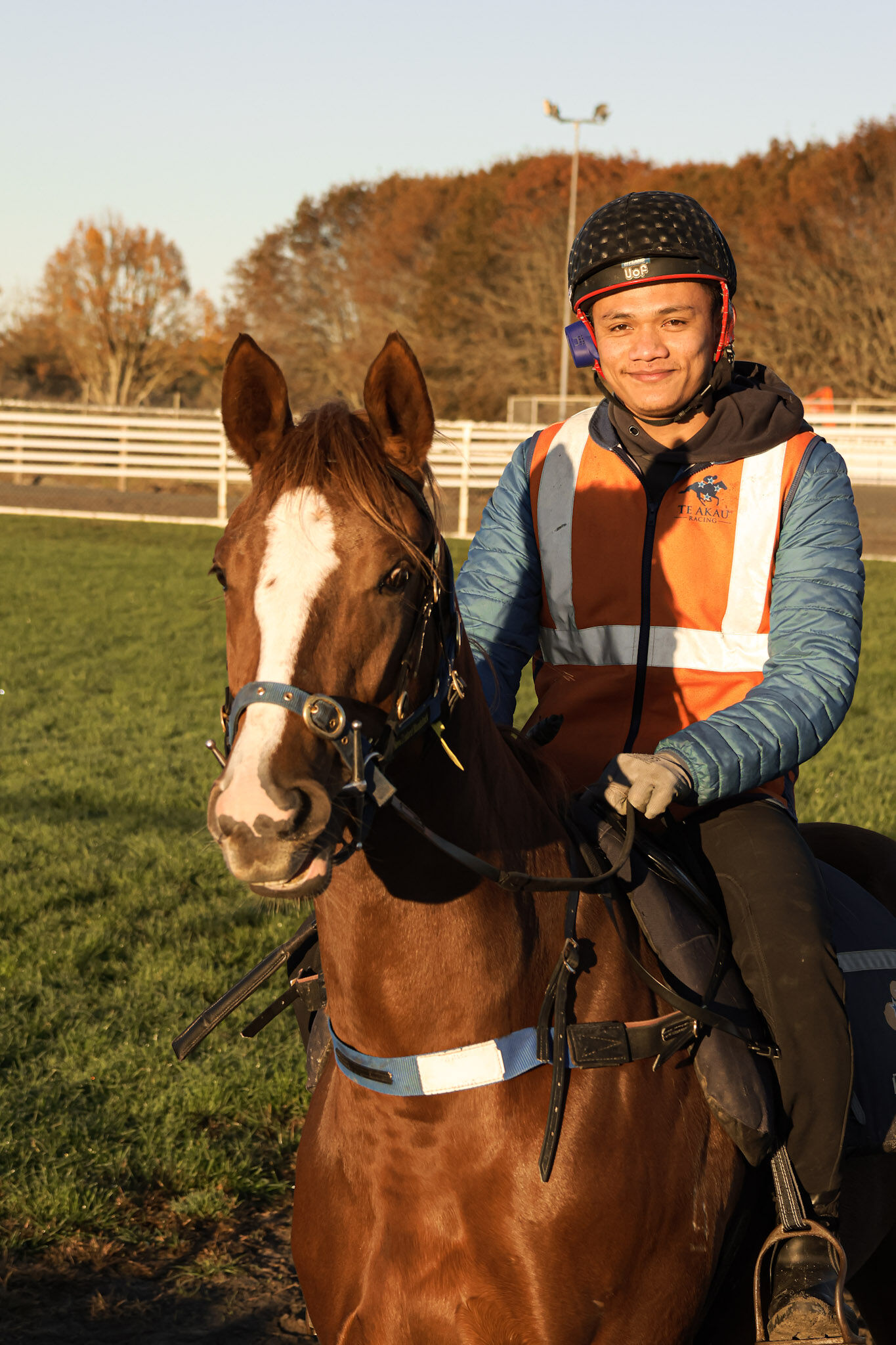 Yearling Spotlight: Lot 270 In the Congo (AUS) - Anaween (AUS) Chestnut Filly