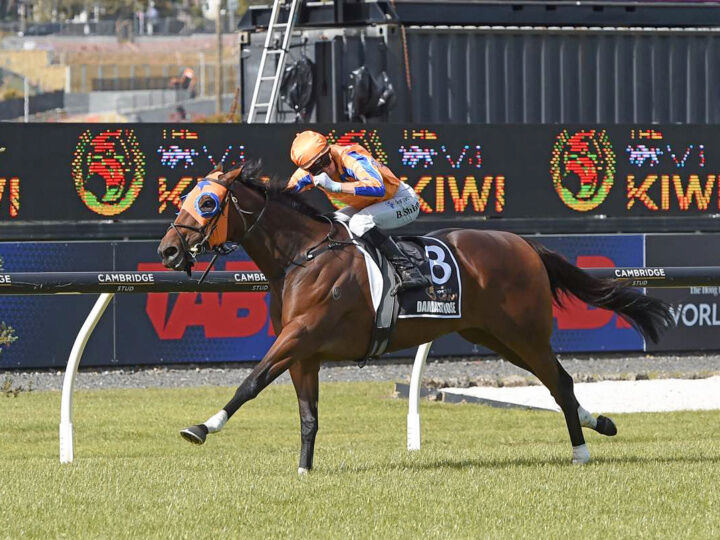 Te Akau Trans Tasman Super Saturday Preview