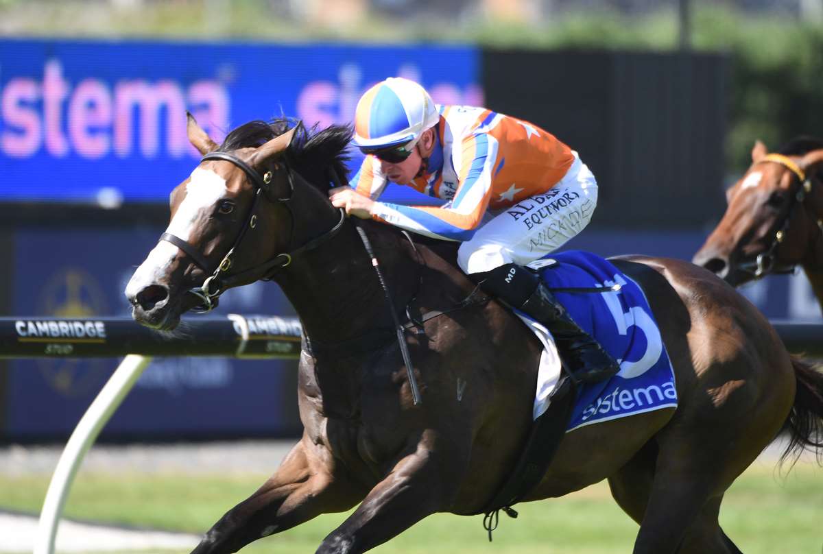 Champion Filly to Spell