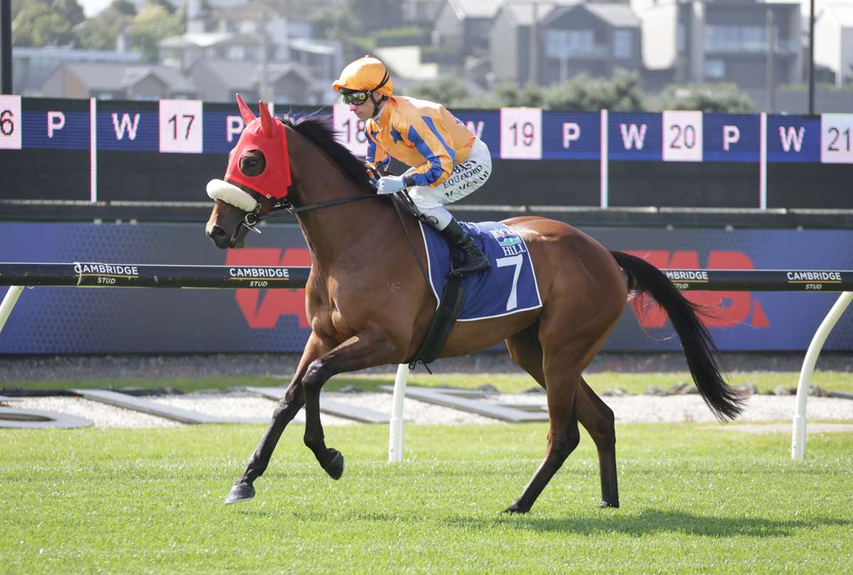 Te Akau Quartet Chases Trans-Tasman Stakes' Honours