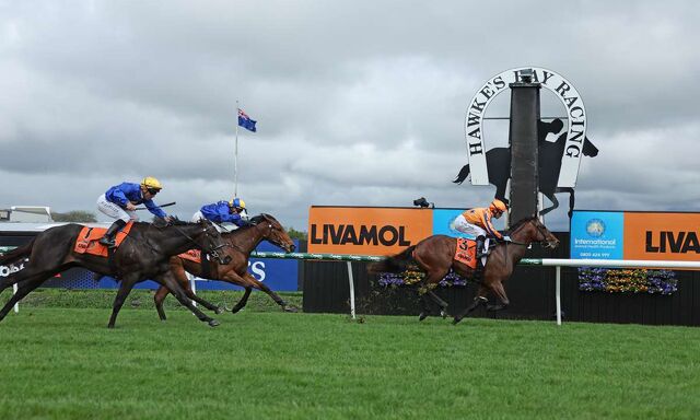 Te Akau Midweek Update