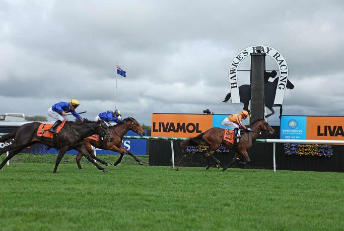Te Akau Midweek Update