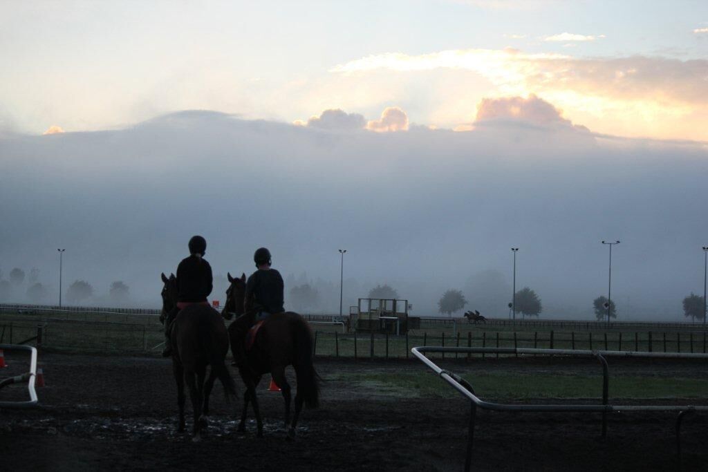 Te Akau Thursday Trackwork