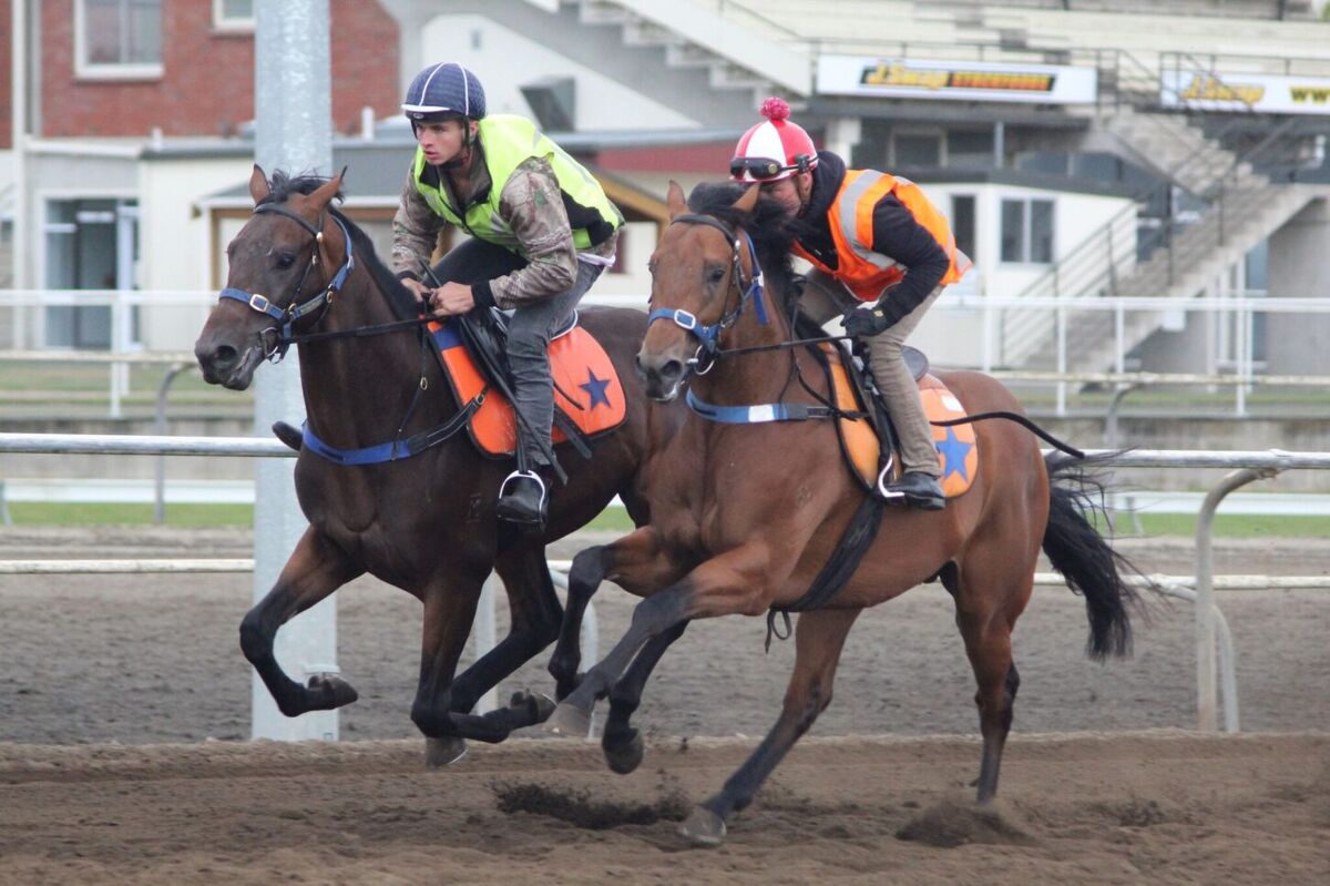 Te Akau Thursday Trackwork