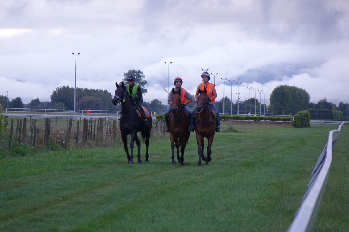 Te Akau Thursday Trackwork