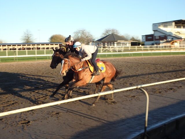 Te Akau Weekend Trackwork
