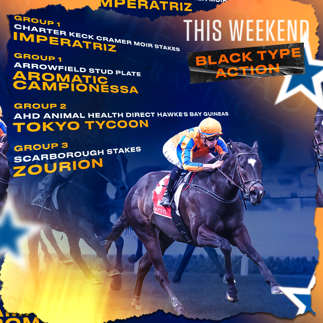 Te Akau Friday Trans Tasman Preview