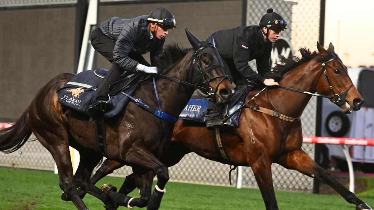 McEwen Win Imperative For Kiwi Mare
