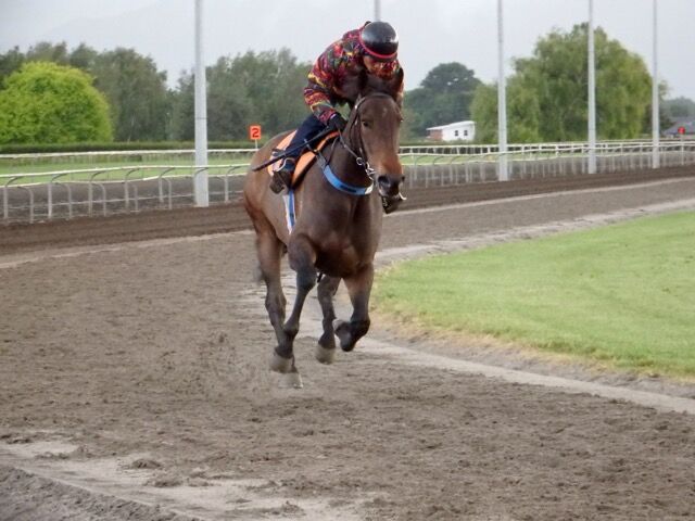 Te Akau Saturday Trackwork