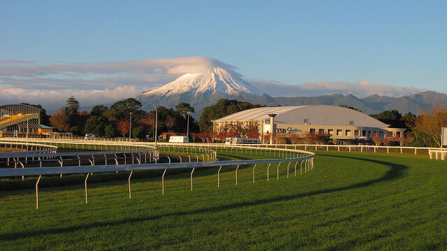 Te Akau New Plymouth Preview