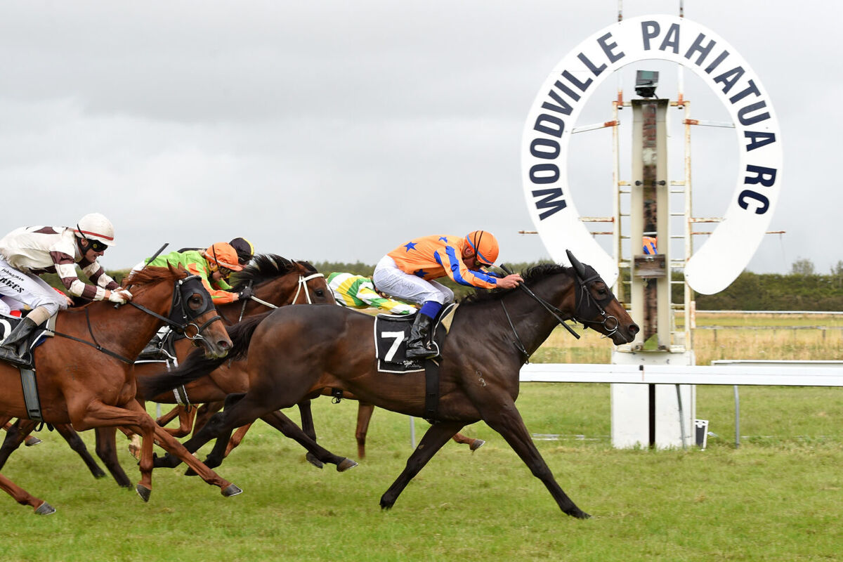 Te Akau Friday Woodville Preview
