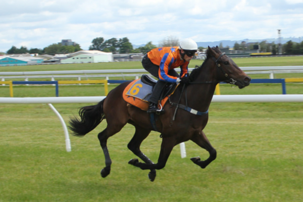 Te Akau Rotorua Trials' Report