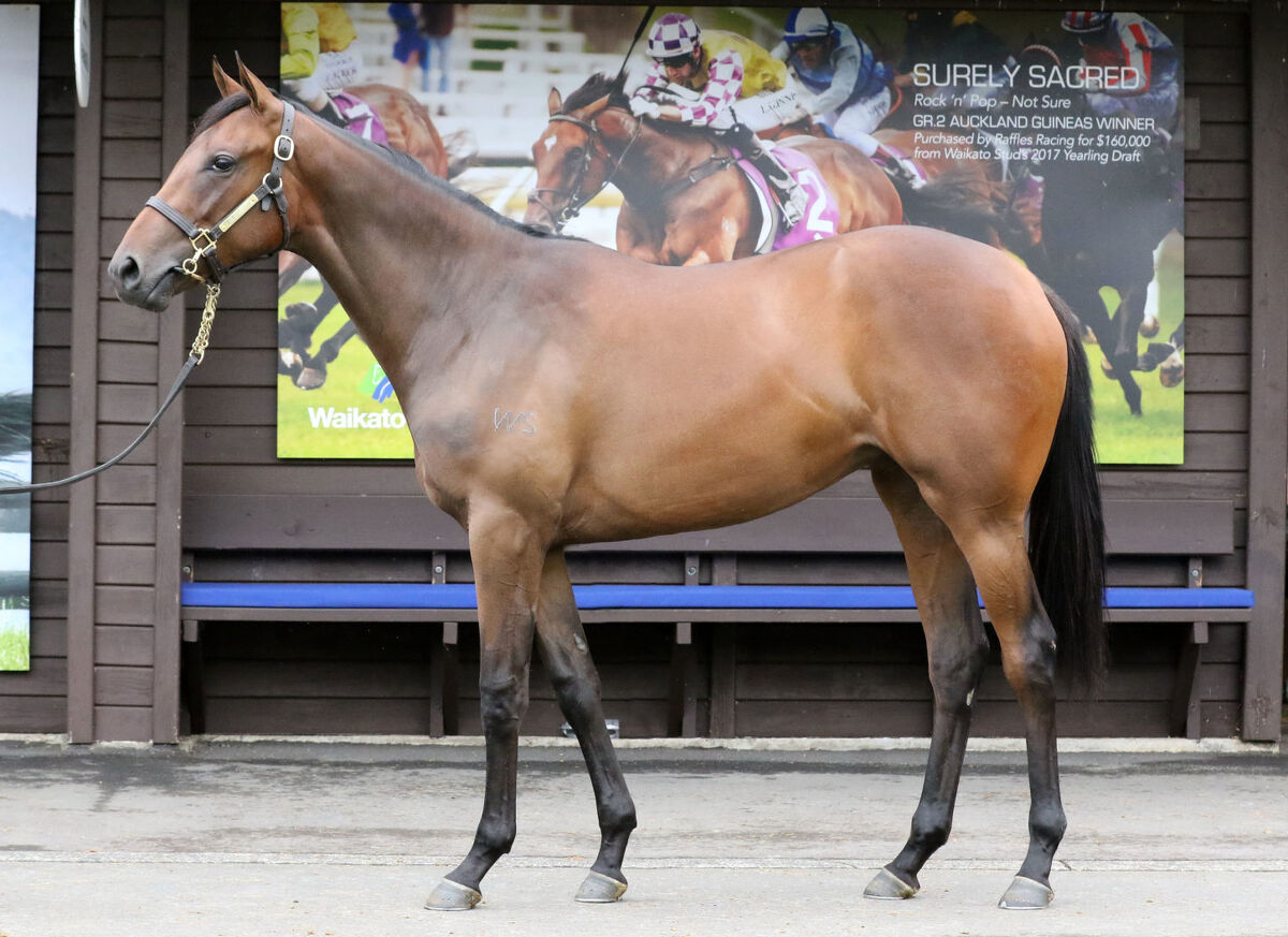 Oaks' Heroine a New Star