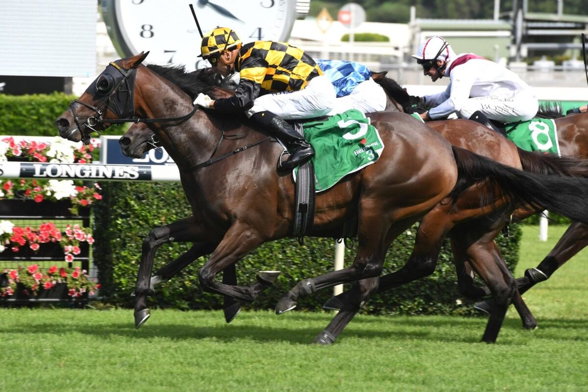 Next Round for Group 1 Australian Winner Probabeel
