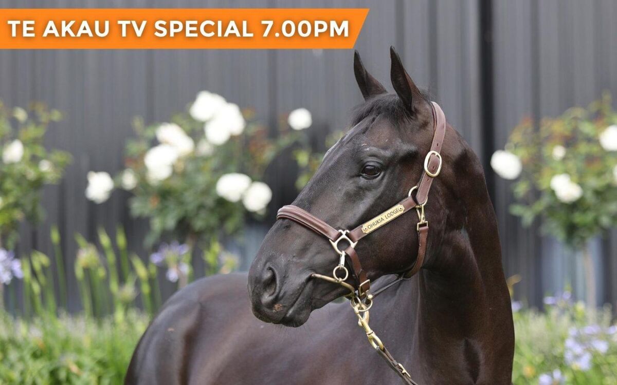 Te Akau TV Andrew Bensley Special - Streaming from 7pm