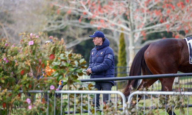 Te Akau Te Rapa Trials' Review