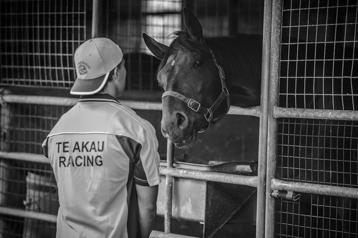 Paeroa Trials' Report