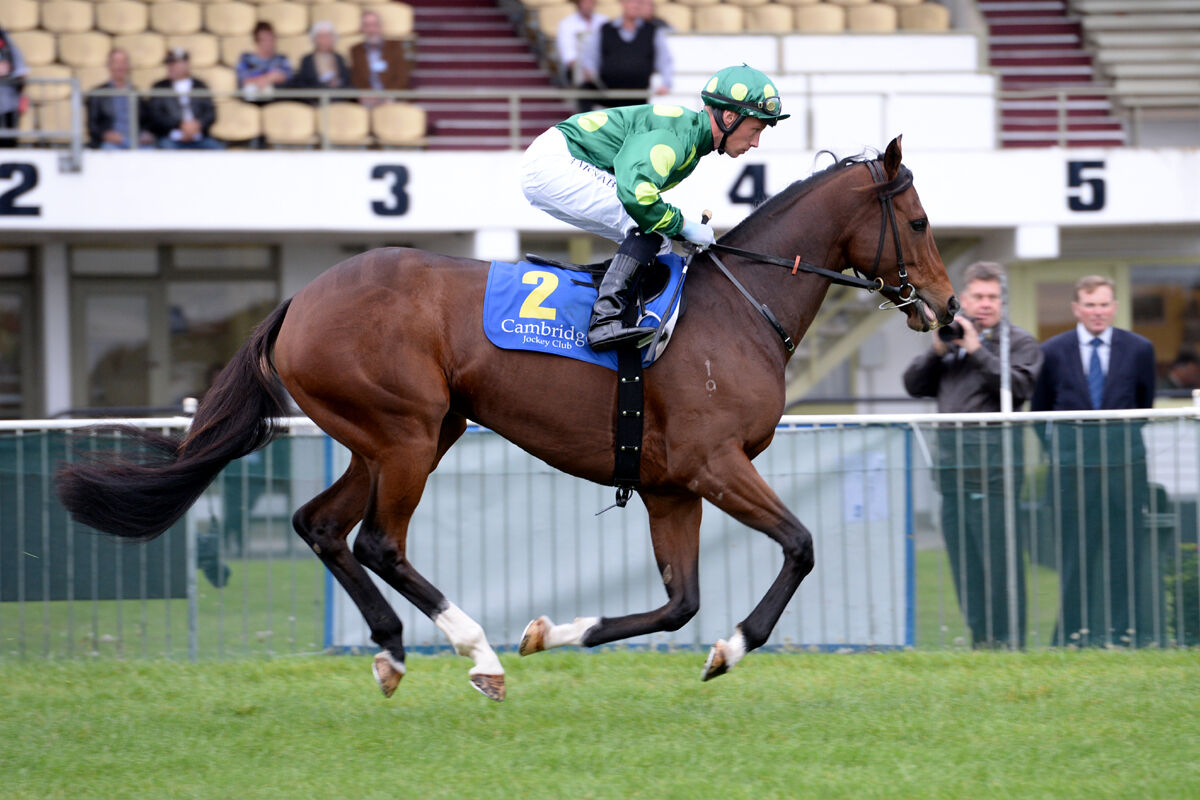 Abidewithme Carries Hogans' Hopes