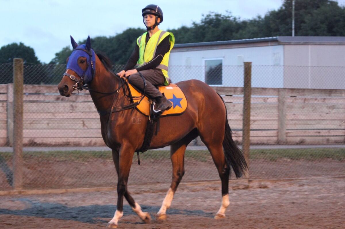 Te Akau Weekend Trackwork