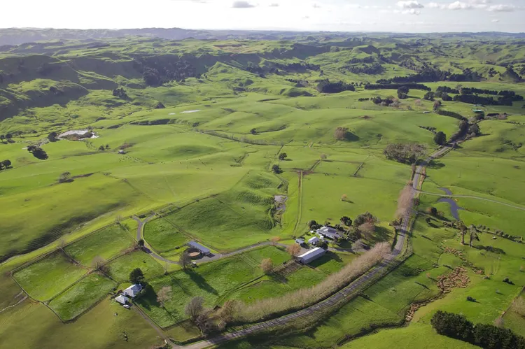 The green paddocks and rolling hills of Te Akau Stud in the Waikato