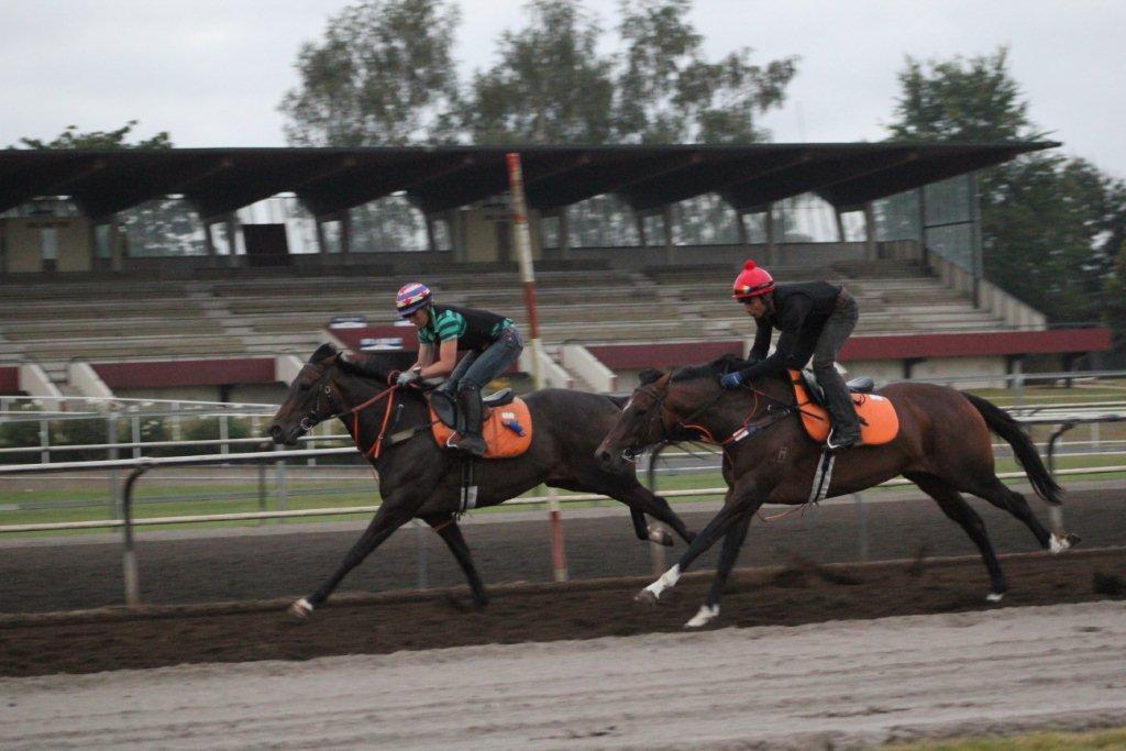 Te Akau Tuesday Trackwork