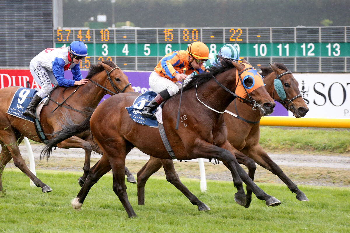 Te Akau Seeks Riccarton Rewards on Saturday