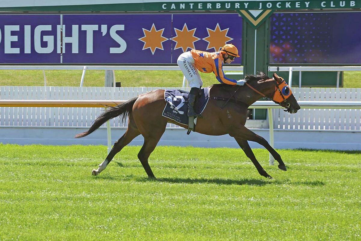 Riccarton Double - Aishiteru Awesome