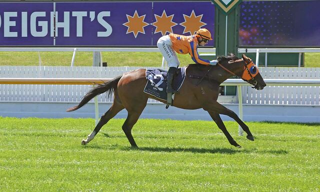 Te Akau Ashburton Sunday Preview