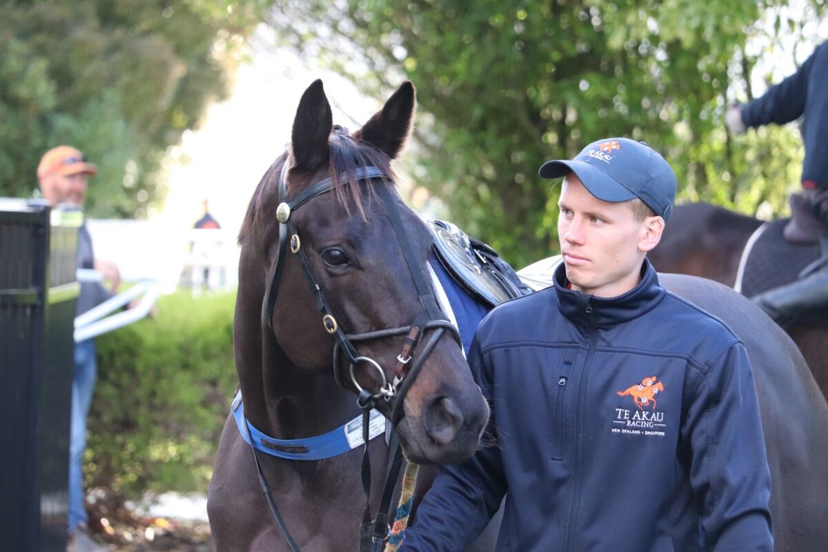 Te Akau Te Rapa Trials' Report