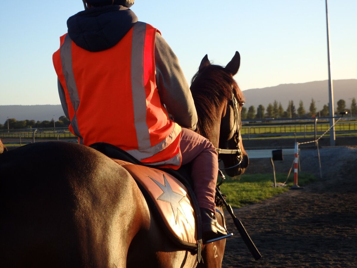 Te Akau Saturday Trackwork