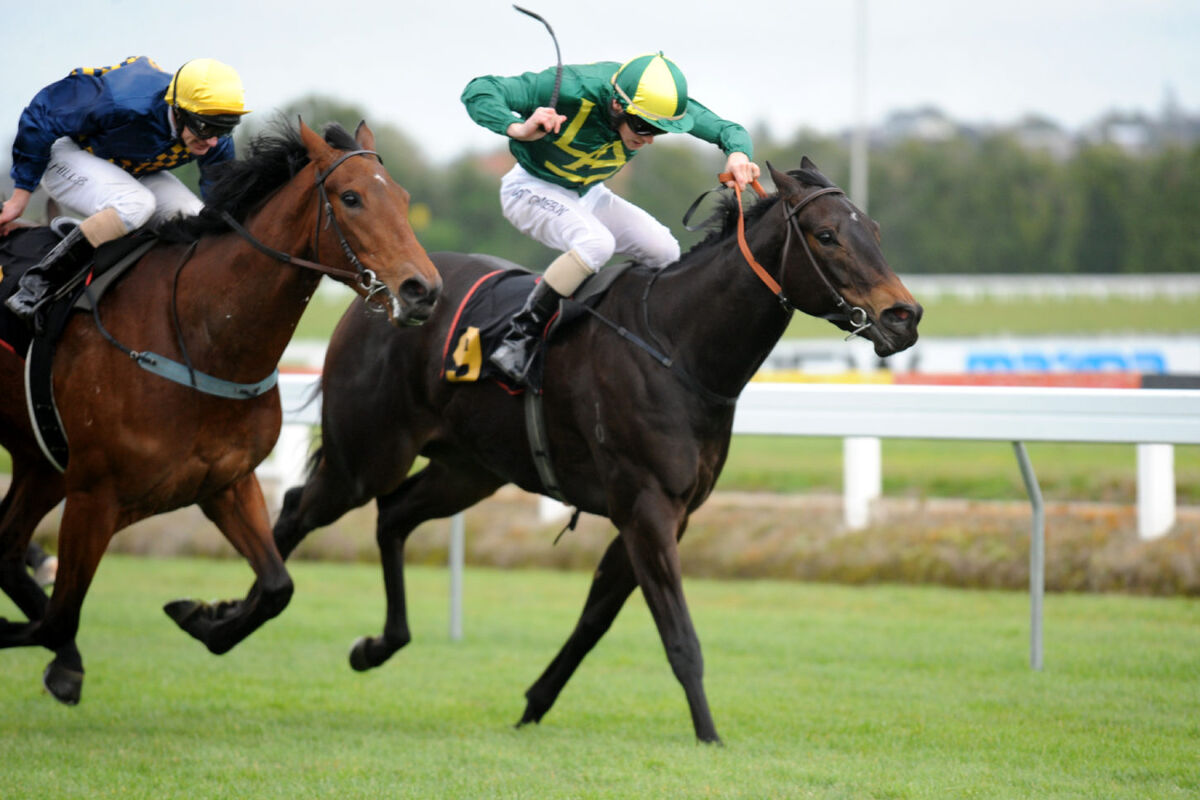 Flying at Te Rapa