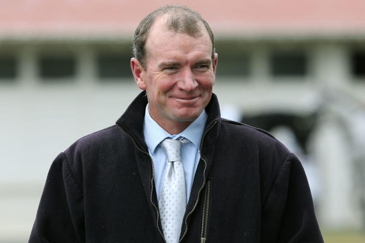 Vale Hayden Allen