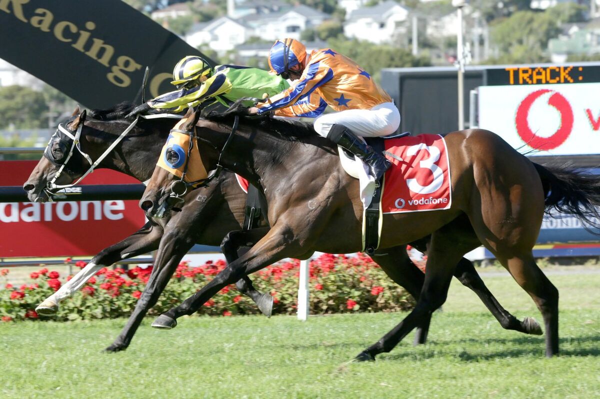 So Close Again for Te Akau