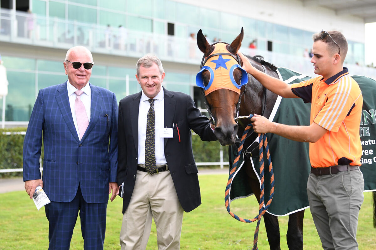 Amalfi Prince to Chase Bigger Targets