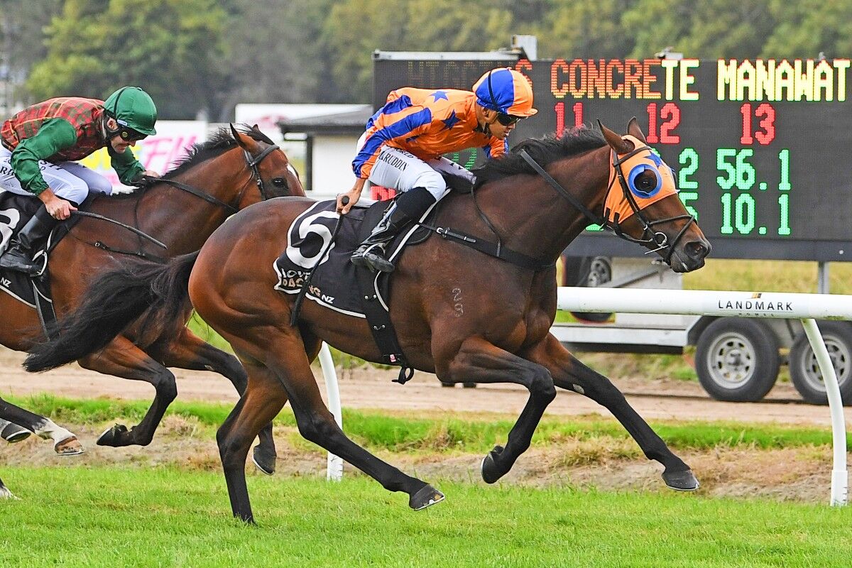 Walker Back in Town with Stakes' Success