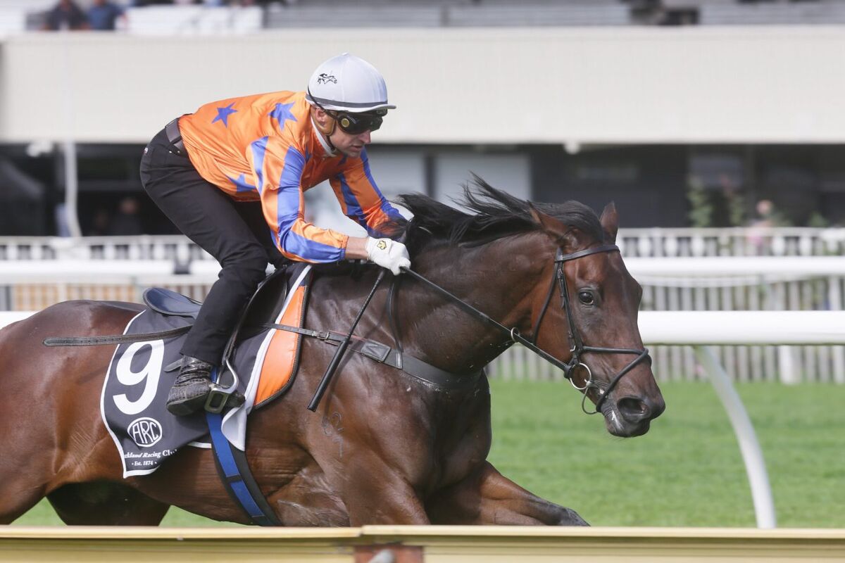 Sydney Soujourn for Te Akau's Opie Bosson