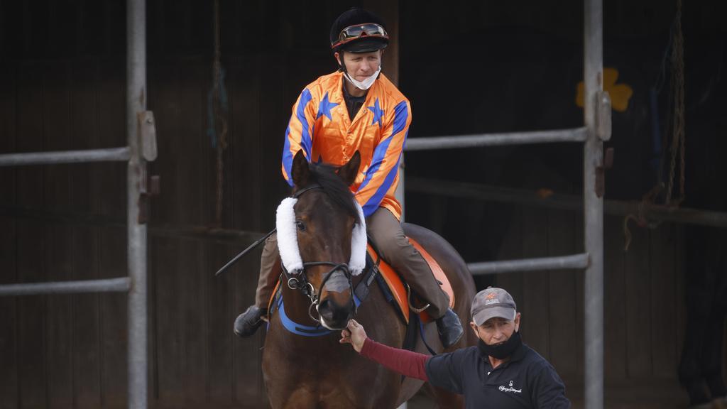 Amarelinha to Make Spring Debut