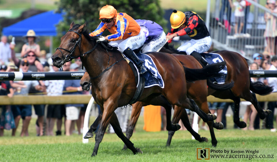 Te Akau TV - Weekend Preview