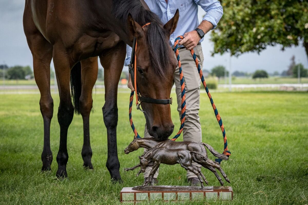 Te Akau TV - Auckland Cup Weekend!